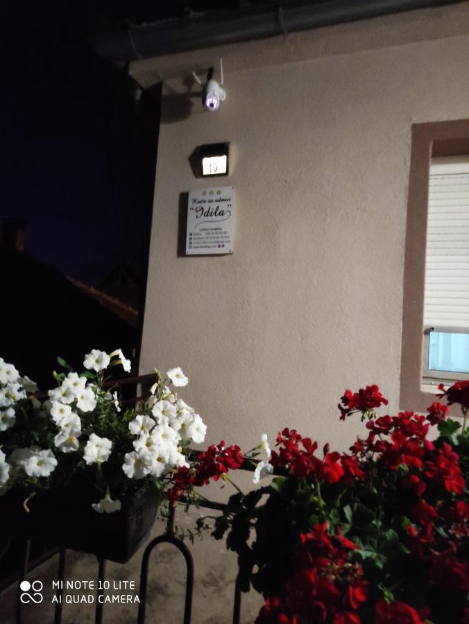 Kuca Vila Idila Вршац Экстерьер фото